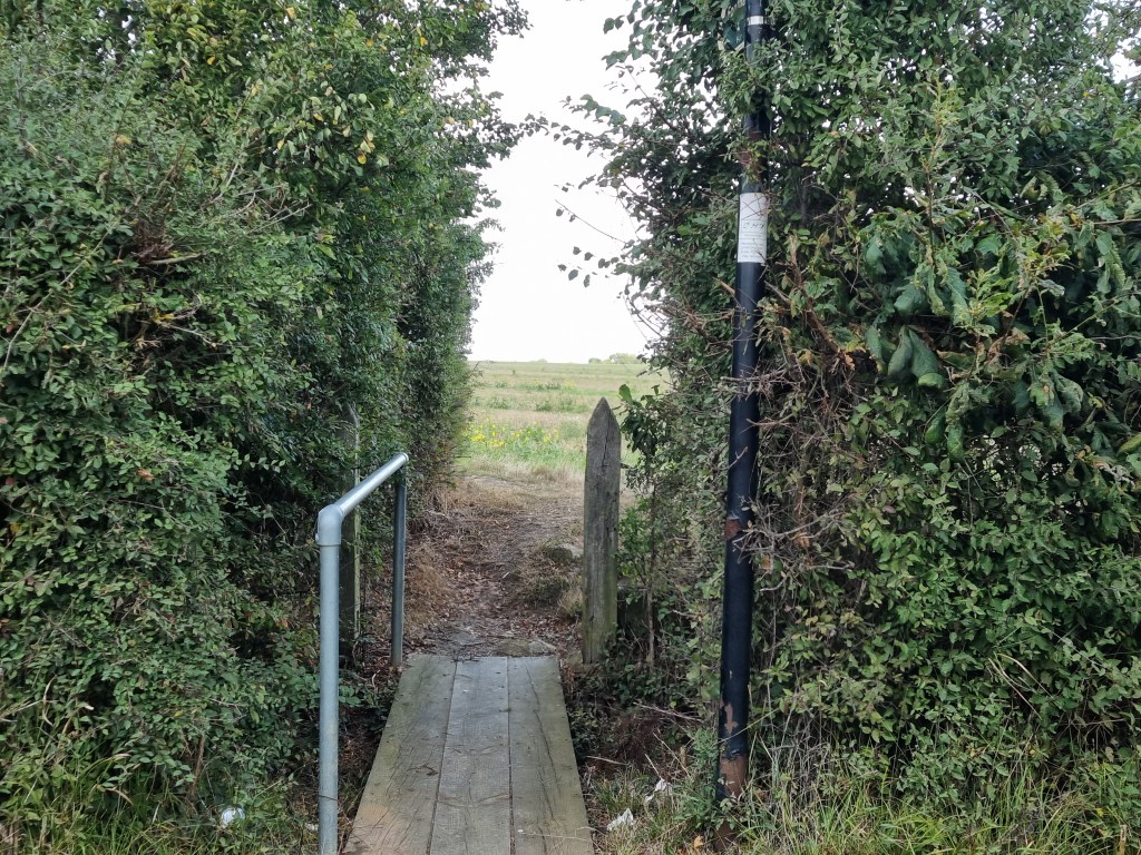 15 Oct South St&nbsp;7km