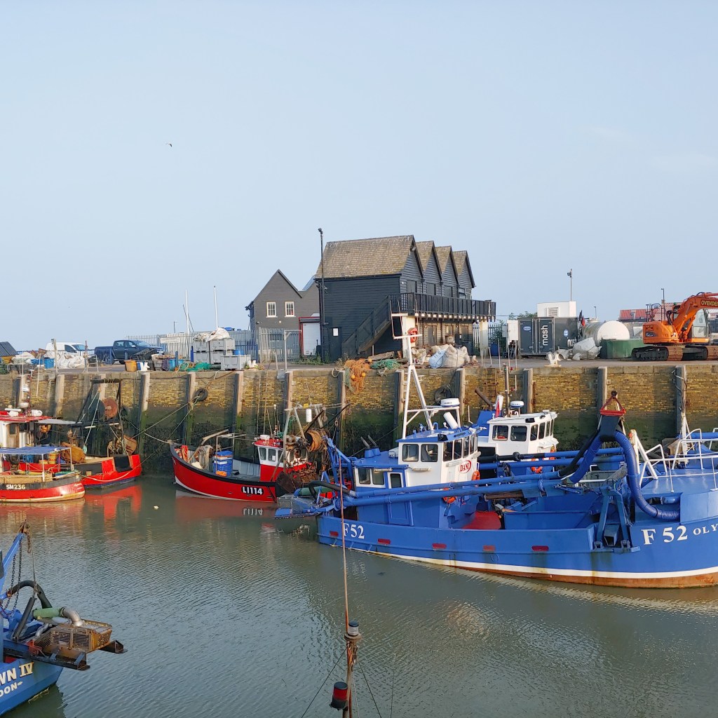 4 February South Quay&nbsp;Shed